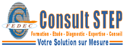 Logo_Consultstepo