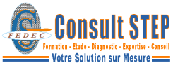 Logo_Consultstepo